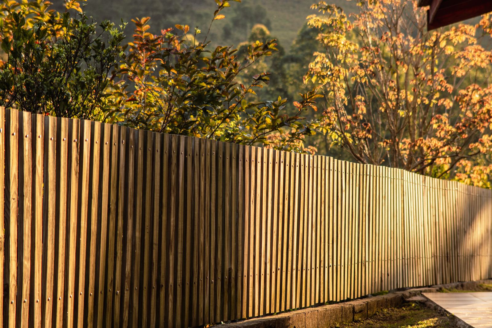 A tall vertical wood slat fence in warm golden-hour sunlight with autumn foliage above it — illustrative stock photo, not a photo of a Castillo's Fence job.