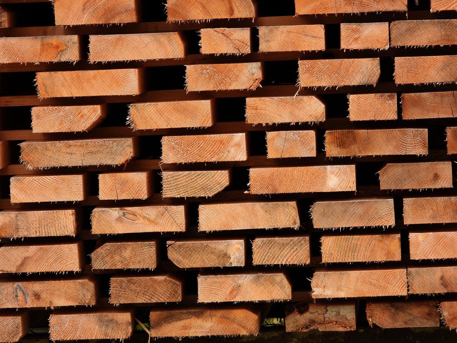 A stack of freshly cut cedar lumber boards in sunlight — illustrative stock photo, not Castillo's Fence's own material stock.