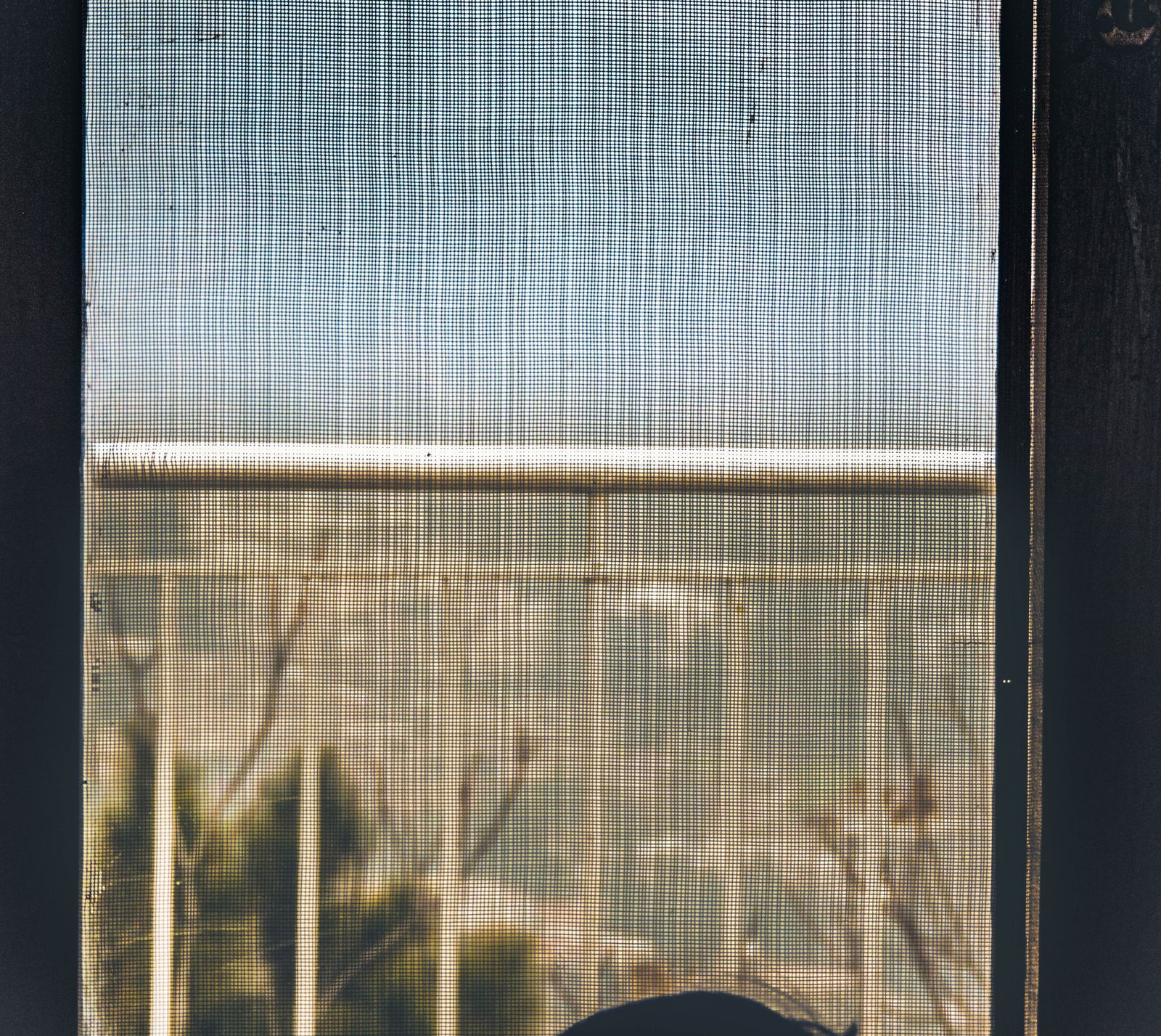 A close-up view through a solar screen mesh, looking out at a railing outdoors — illustrative stock photo, not Garcia's own installation.