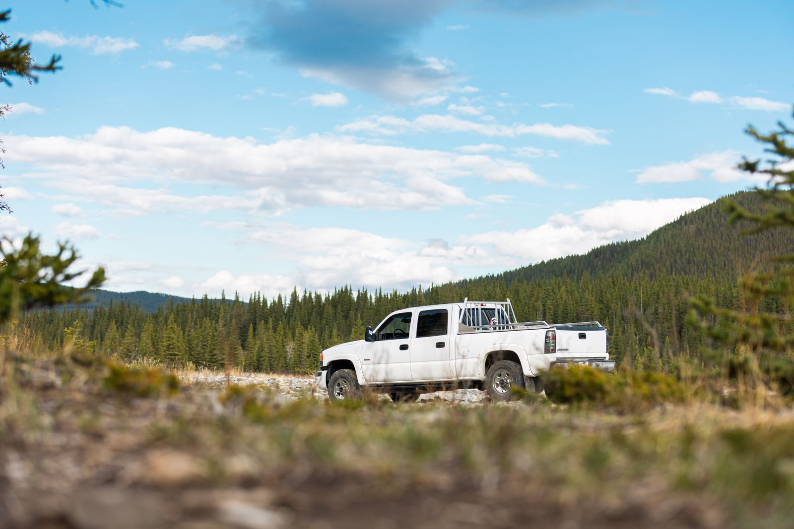 A pickup truck on an offroad trail in a forested, mountainous area — illustrative stock photo, not a photo of a Limitless Diesel & Offroad customer or truck.