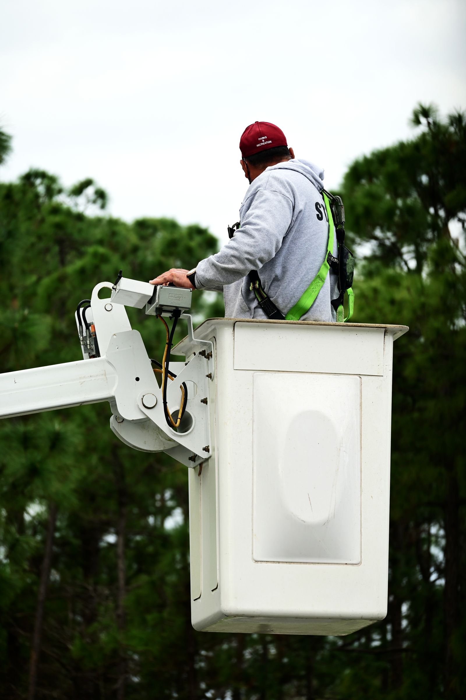 A worker in safety harness operating a bucket truck lift near tall pine trees — illustrative stock photo, not a photo of Mike's Complete Tree Services and Landscaping or its crew.