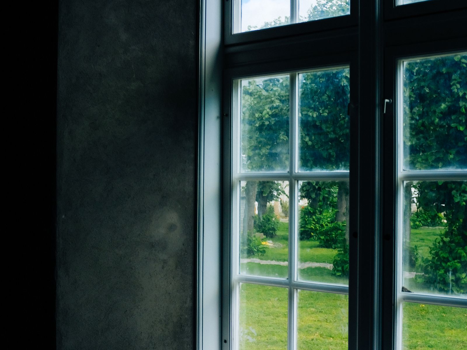 A clean window pane looking out onto a lush green garden — illustrative stock photo, not a photo of Skyes View's own work.