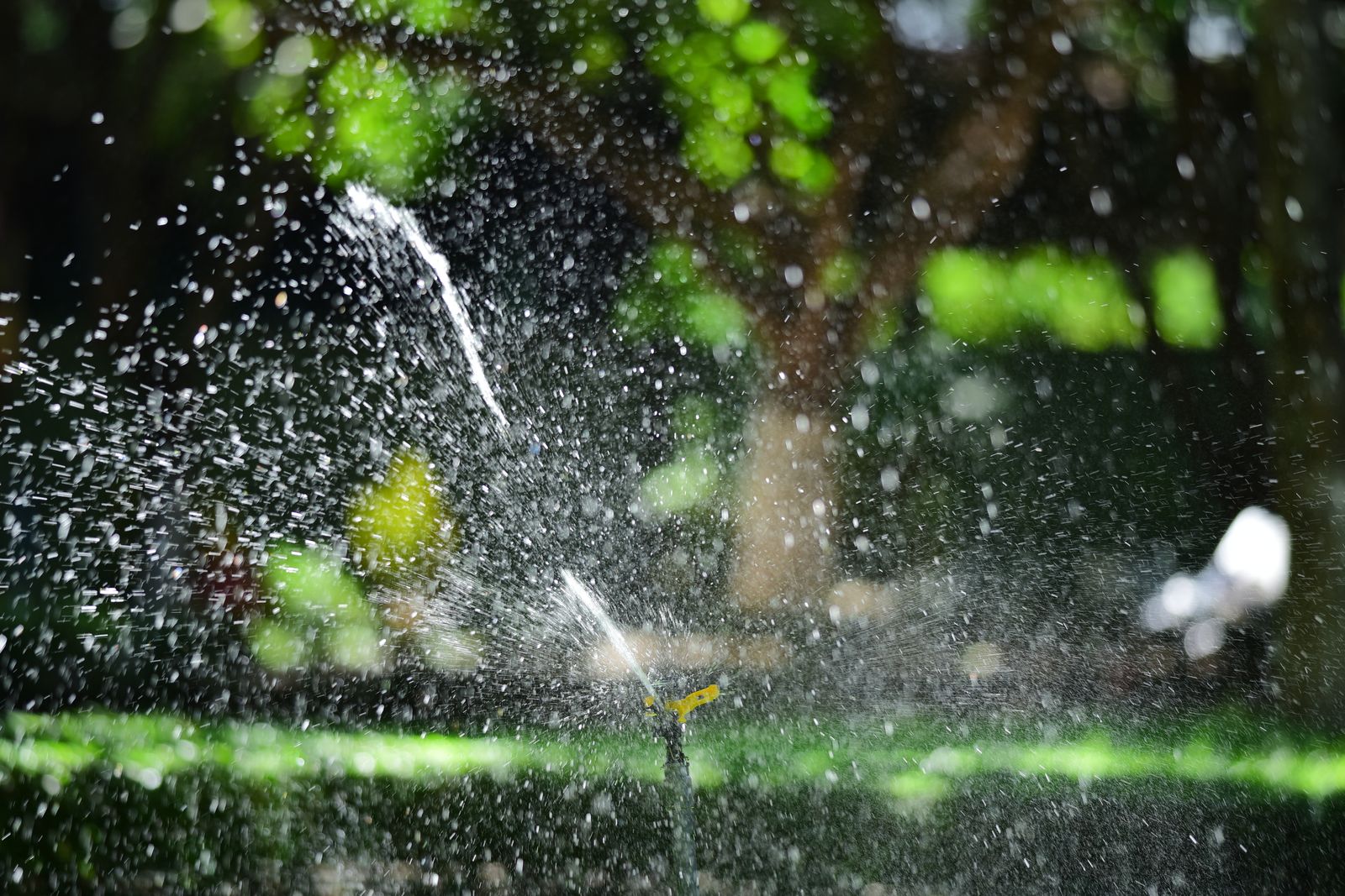 Close-up of a garden sprinkler watering a lush green lawn with sunlight on water droplets — illustrative stock photo, not a photo of Smart Water's own repair work.