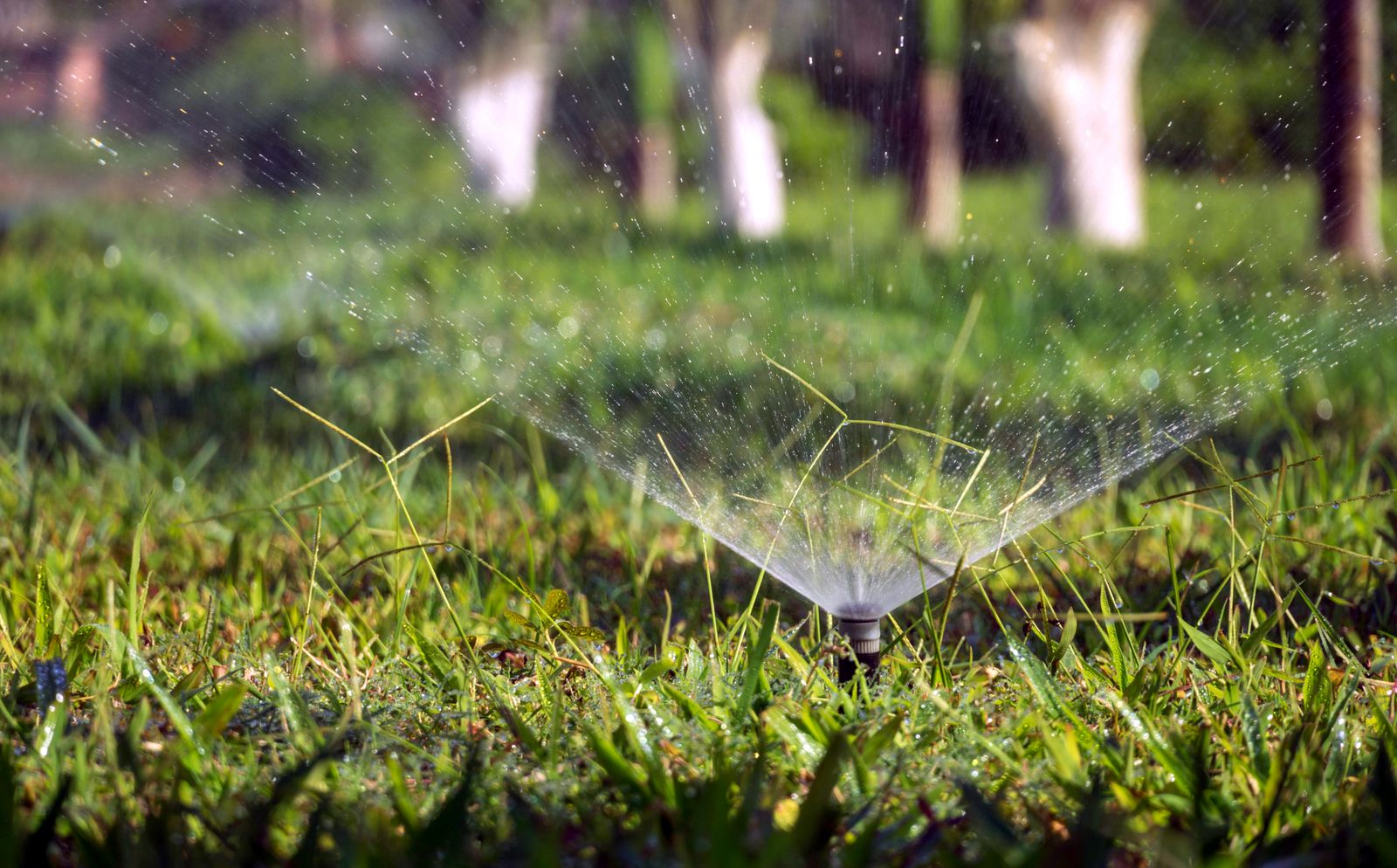 Close-up of a garden sprinkler head watering a lawn — illustrative stock photo, not Smart Water's own equipment.
